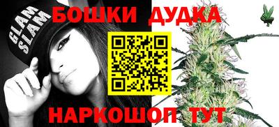 стафф Обь
