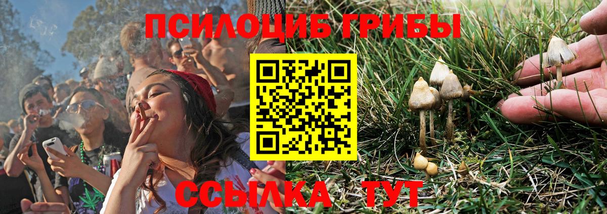 КОКАИН Сунжа